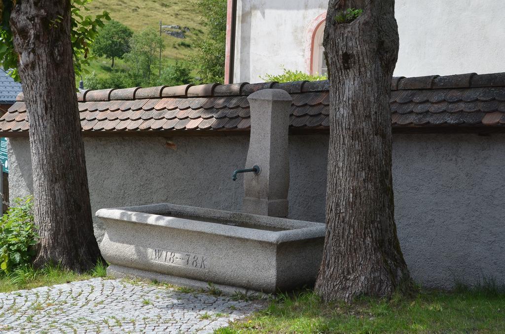 Ferienwohnungen Sternenthal Menzenschwand-Hinterdorf Exterior foto