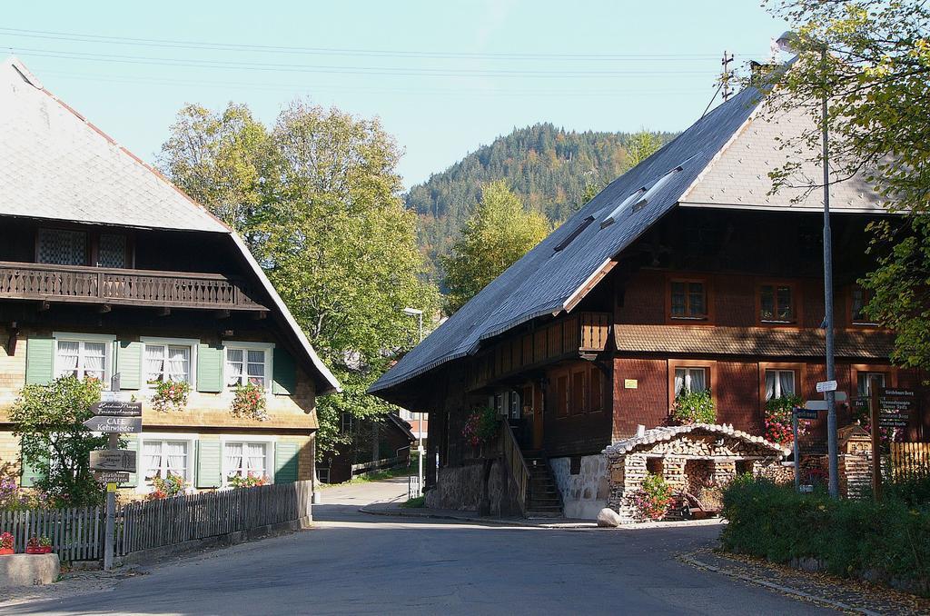 Ferienwohnungen Sternenthal Menzenschwand-Hinterdorf Exterior foto