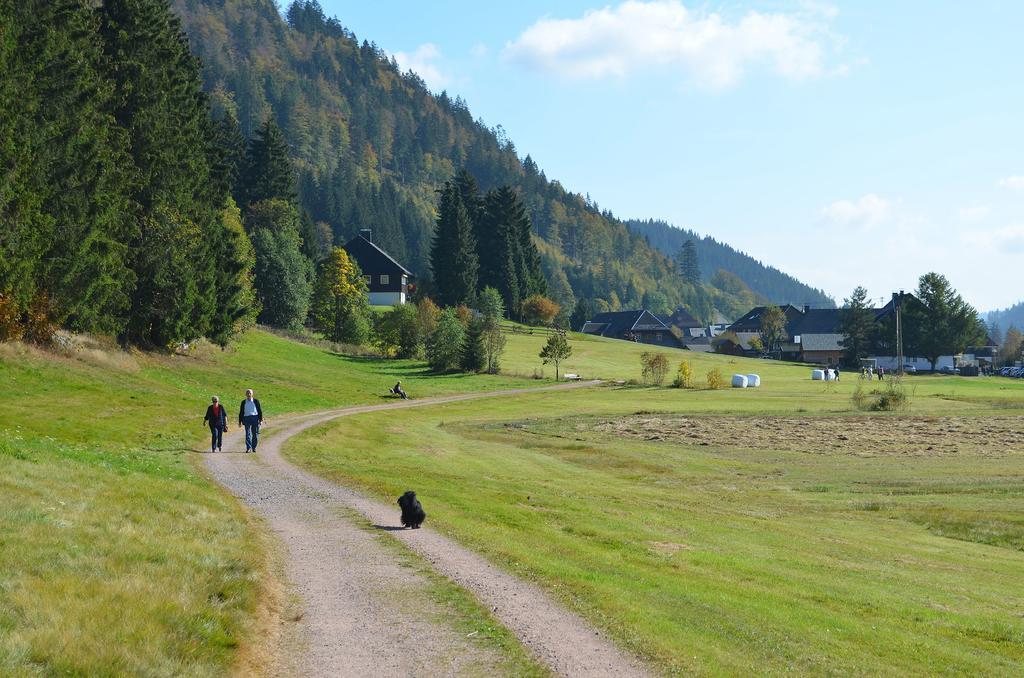 Ferienwohnungen Sternenthal Menzenschwand-Hinterdorf Exterior foto